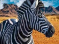 Juego Zebra Hunter