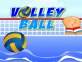 Juego Volley ball