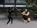 Juego Buyoda Sensei