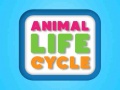 Juego Animal Life Cycle