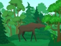 Juego Wild Animals Coloring