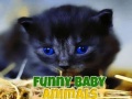 Juego Funny Baby Animals