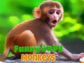 Juego Funny Baby Monkey