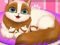 Juego Cute Kitty Pregnant