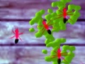 Juego Smash Ants