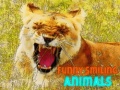 Juego Funny Smiling Animals