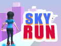 Juego Sky Run