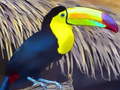 Juego Toucan Bird Jigsaw