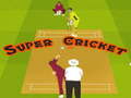 Juego Super Cricket 