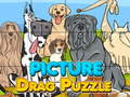 Juego Picture Drag Puzzle