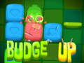 Juego Budge Up