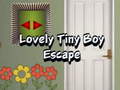 Juego Lovely Tiny Boy Escape