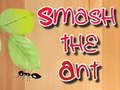 Juego Smash the Ant