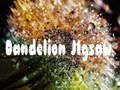 Juego Dandelion Jigsaw