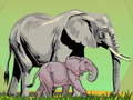 Juego Wild Animals and Their Babies