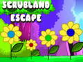 Juego Scrubland Escape