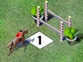 Juego Competition jump