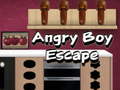 Juego Angry Boy Escape