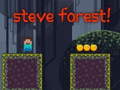 Juego Steve Forest