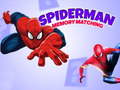 Juego Spiderman Memory Matching