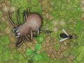 Juego Antwar.io