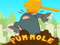 Juego Pum-Mole