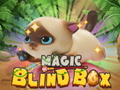 Juego Magic Blind Box