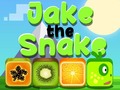 Juego Jake The Snake