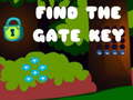 Juego Find the Gate Key