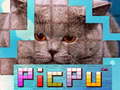 Juego PicPu Cat 