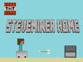 Juego Steveminer Home