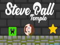 Juego Steve Ball Temple