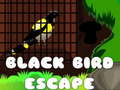 Juego Black Bird Escape