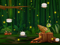Juego Snail Run