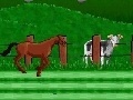 Juego Horse races