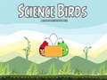 Juego Science Birds