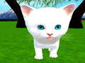 Juego Cutie cat