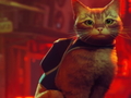 Juego Stray
