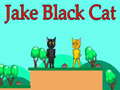 Juego Jake Black Cat