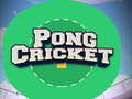 Juego Pong Cricket