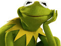 Juego Coloring Book For Kermit the Frog 