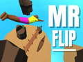 Juego Mr Flip