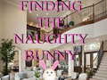 Juego Finding The Naughty Bunny