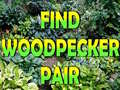 Juego Find Woodpecker Pair 