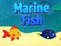 Juego Marine Fish