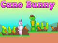 Juego Cano Bunny