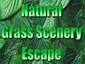 Juego Natural Grass Scenery Escape