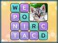 Juego Word Search Pictures