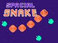 Juego Spacial Snake