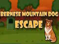 Juego Bernese Mountain Dog Escape